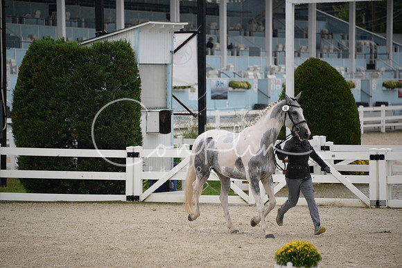 MBP_3479