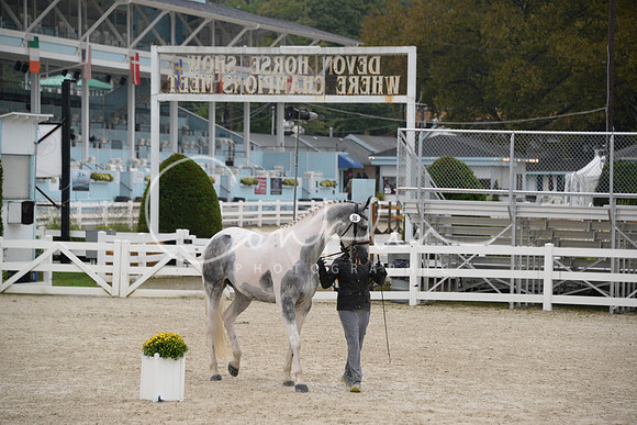 MBP_3467