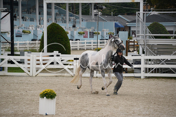 MBP_3481