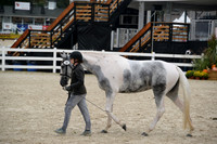 MBP_3460