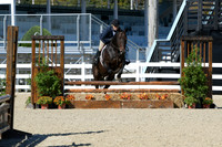 HSM_2929