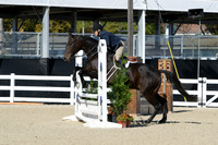 HSM_2931