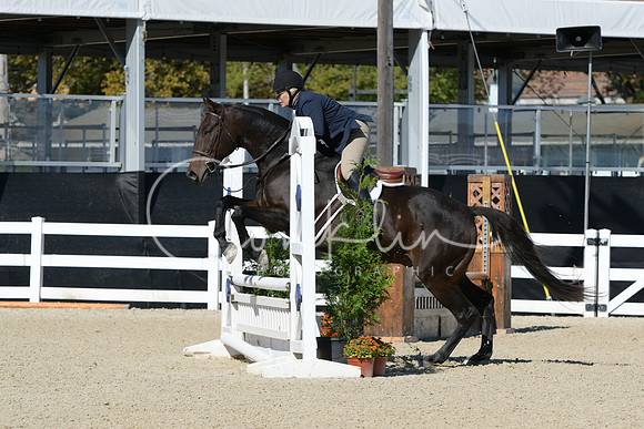 HSM_2931