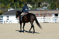 HSM_2849