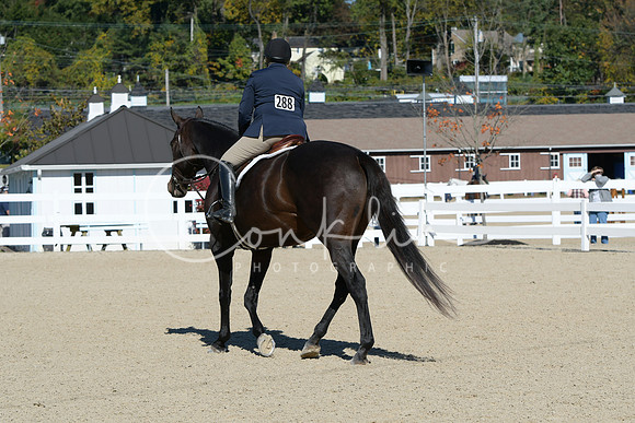 HSM_2849