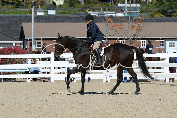 HSM_2941