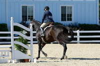 HSM_2928