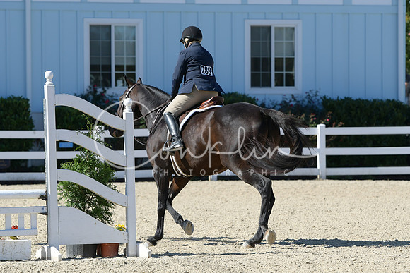 HSM_2928