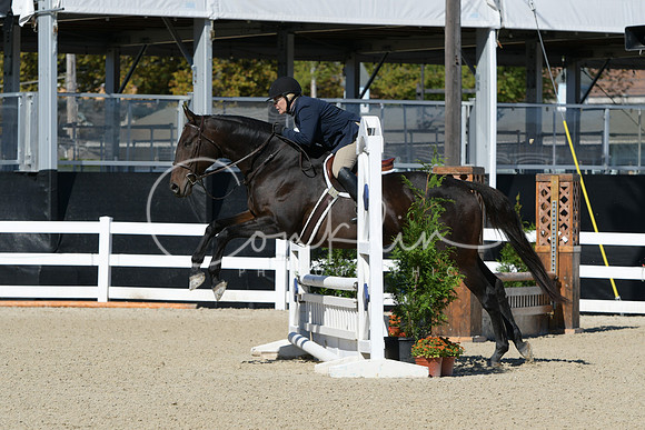 HSM_2932