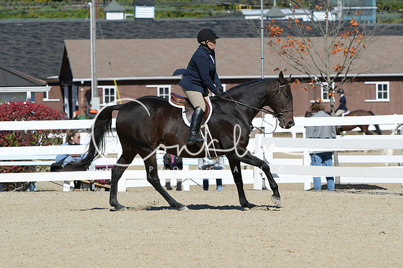 HSM_2935