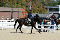 HSM_2837