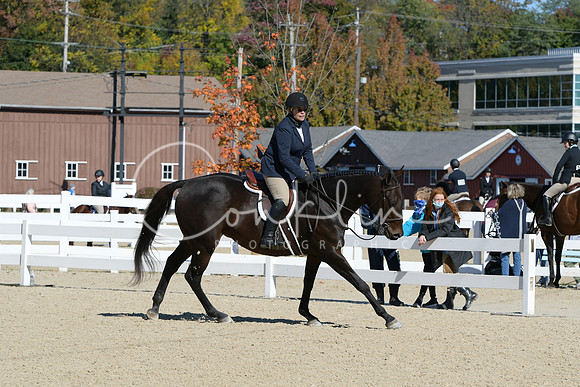 HSM_2837