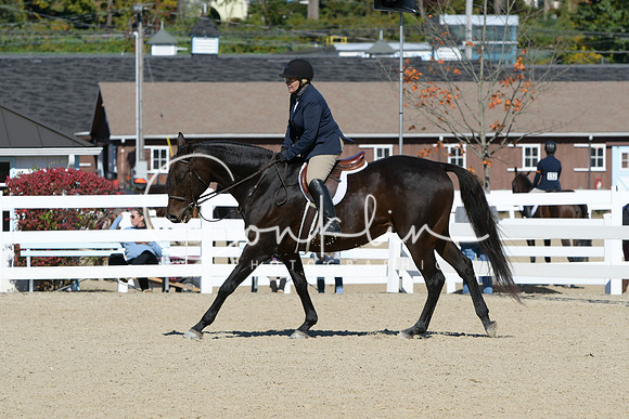 HSM_2942