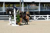 HSM_2843