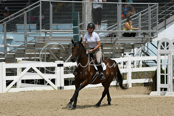 HSM_2606