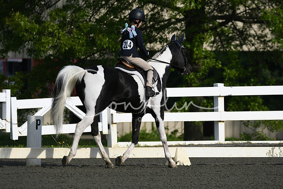 HSM_8631