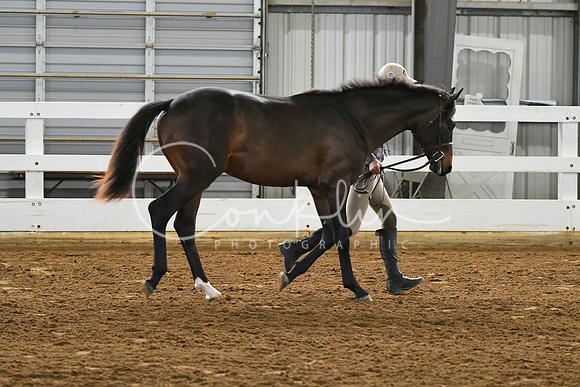 HSM_3877