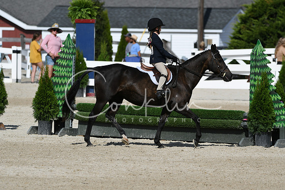 HSM_3936