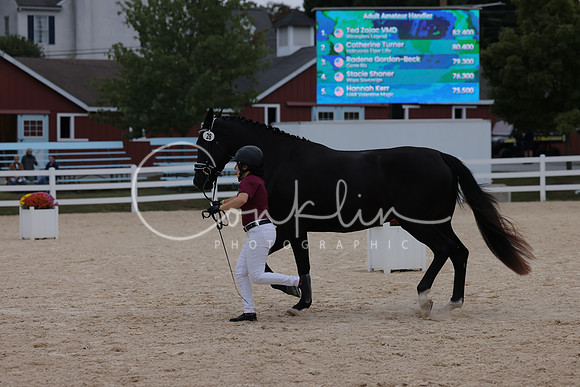 HLK_2097
