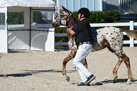 HSM_4466