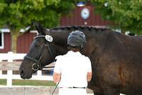 HSM_6337
