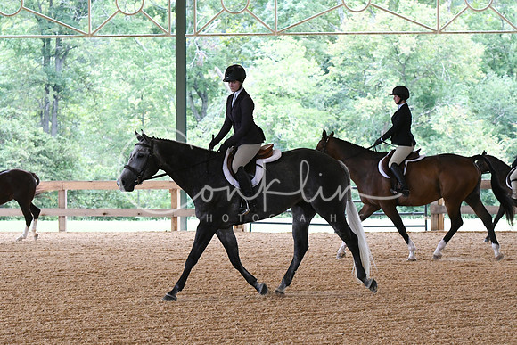 HSM_1410