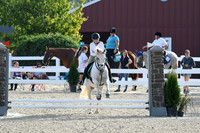 HSM_1287
