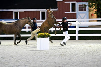 HSM_5786