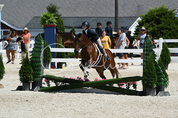 HSM_2949