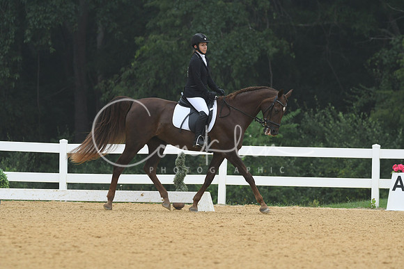 HSM_0982