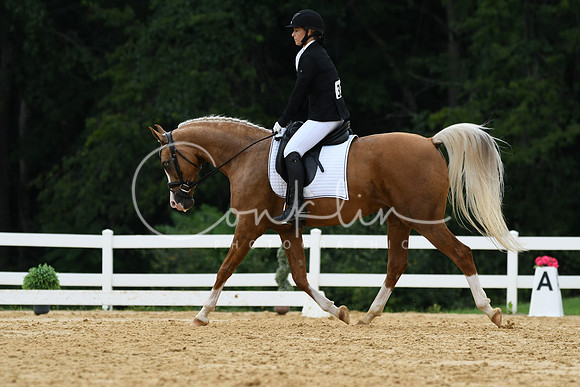 HSM_0267