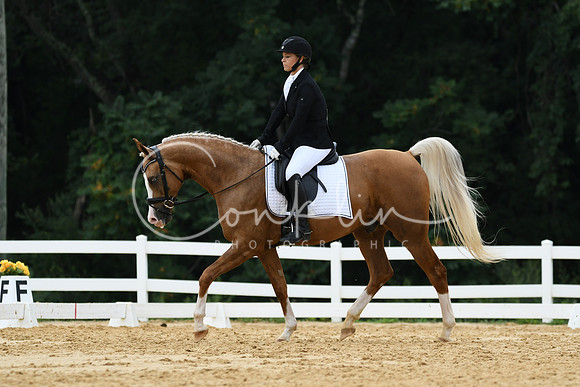 HSM_0268