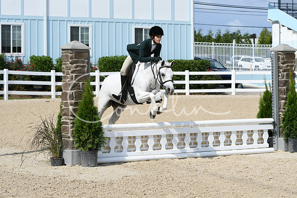 HSM_6335