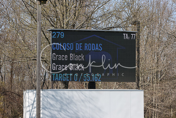 1DX33446