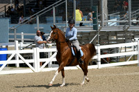 HSM_2101