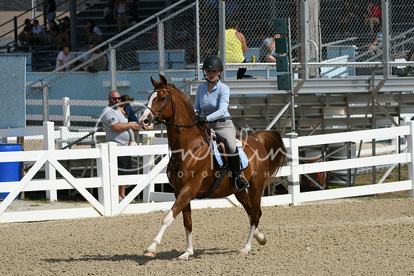 HSM_2101