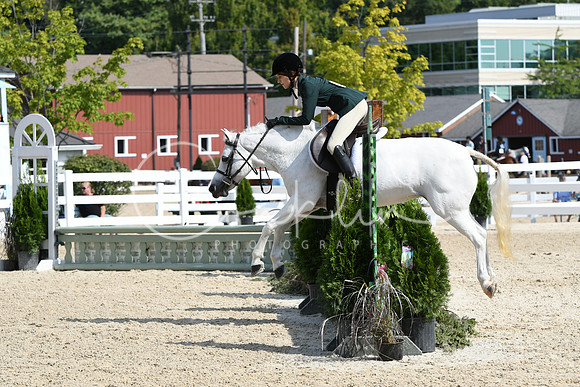 HSM_6297