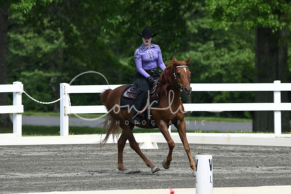 HSM_2633
