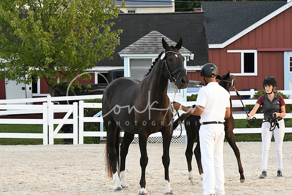 HSM_6312