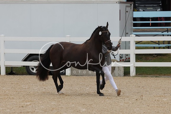 HLK_3363