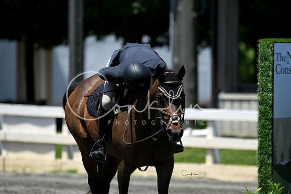 HSM_3291-1