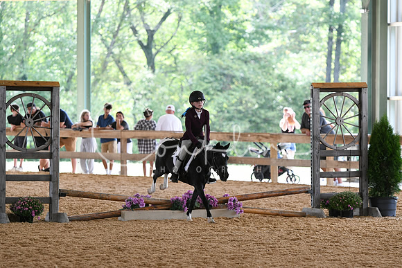 HSM_8718