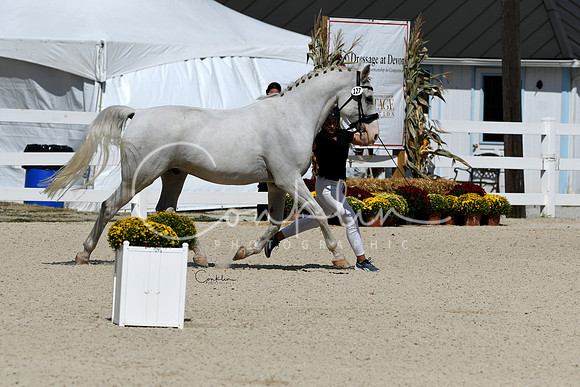 HSM_4845-1