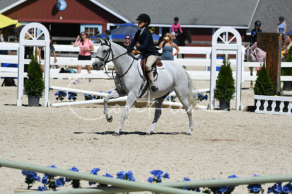 HSM_3244