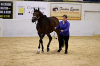 557 MKH LIL ONYX ENY A