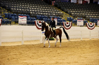 607 BLAZE OF GLORY SVA