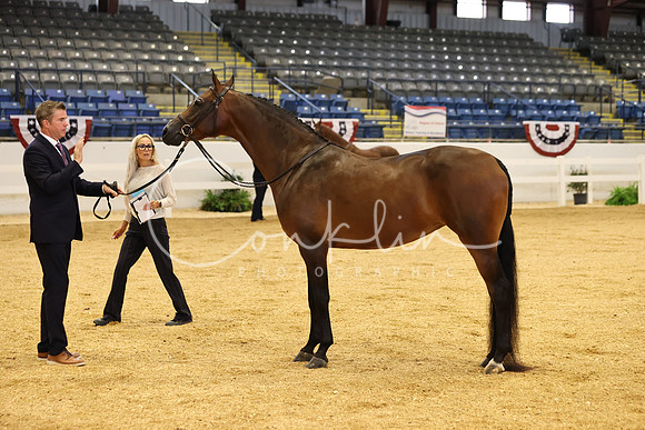 RJC31301