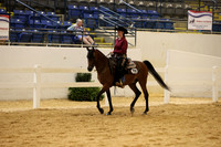 CLASS 118 ARABIAN RANCH RAIL PLEASURE OPEN