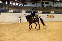 CLASS 119 ARABIAN HUNTER PLEASURE AAOTR