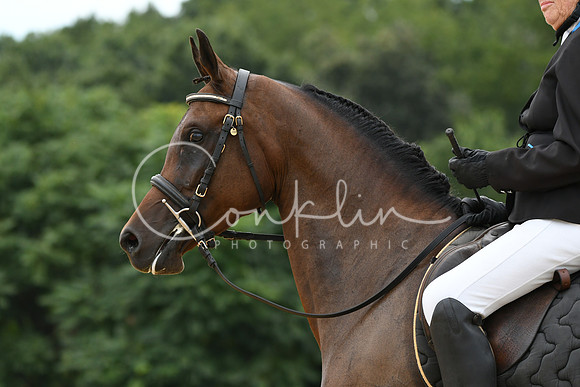 HSM_0065